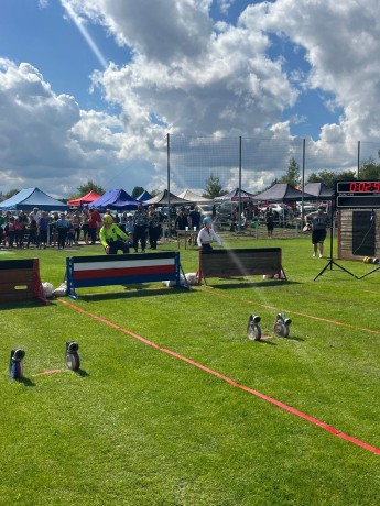 3024b3fb-b9e9-4292-a683-ba72ef6a79af