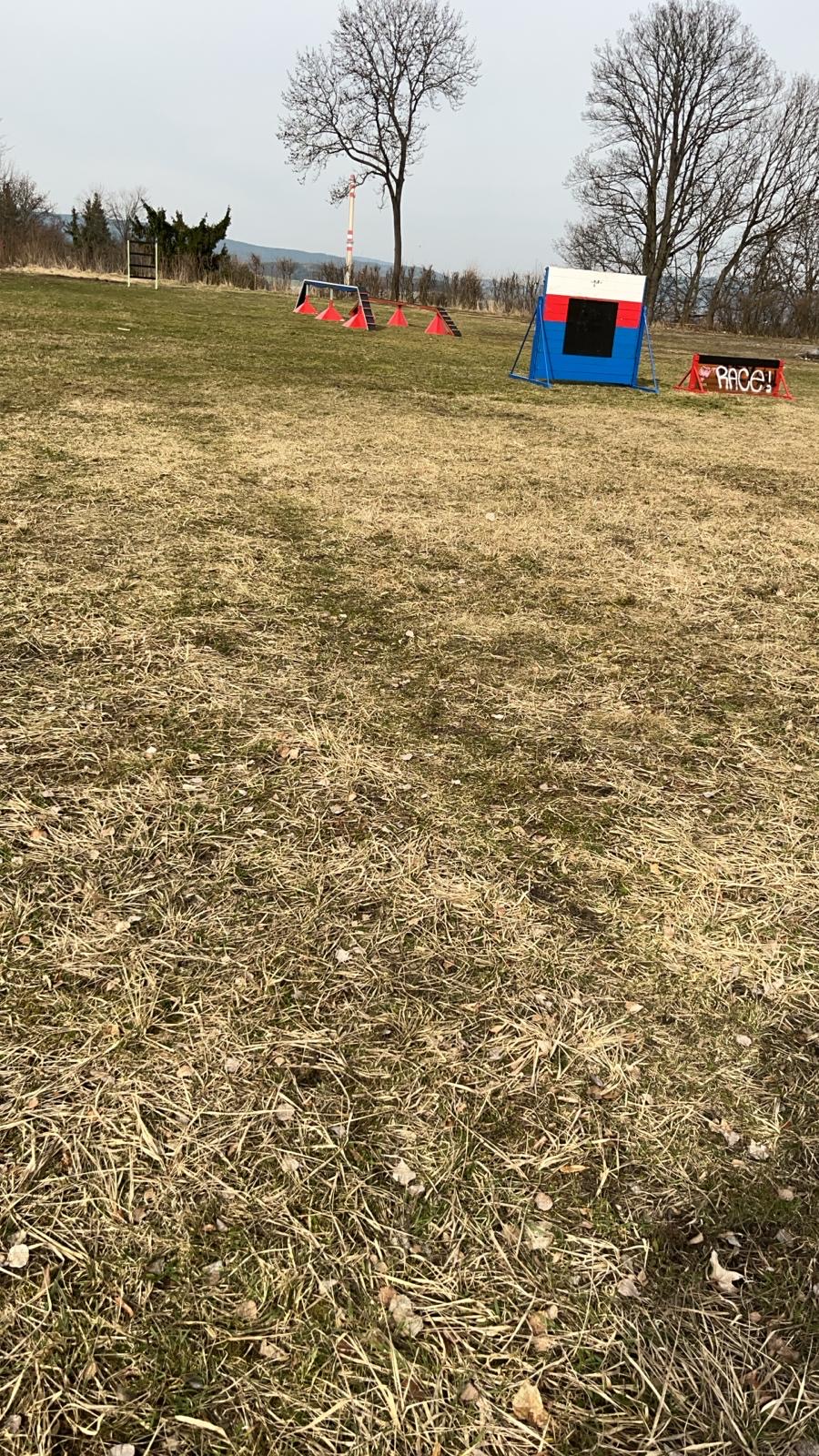 bf94a8f5-981c-4c56-aade-66f6ed7d2d86